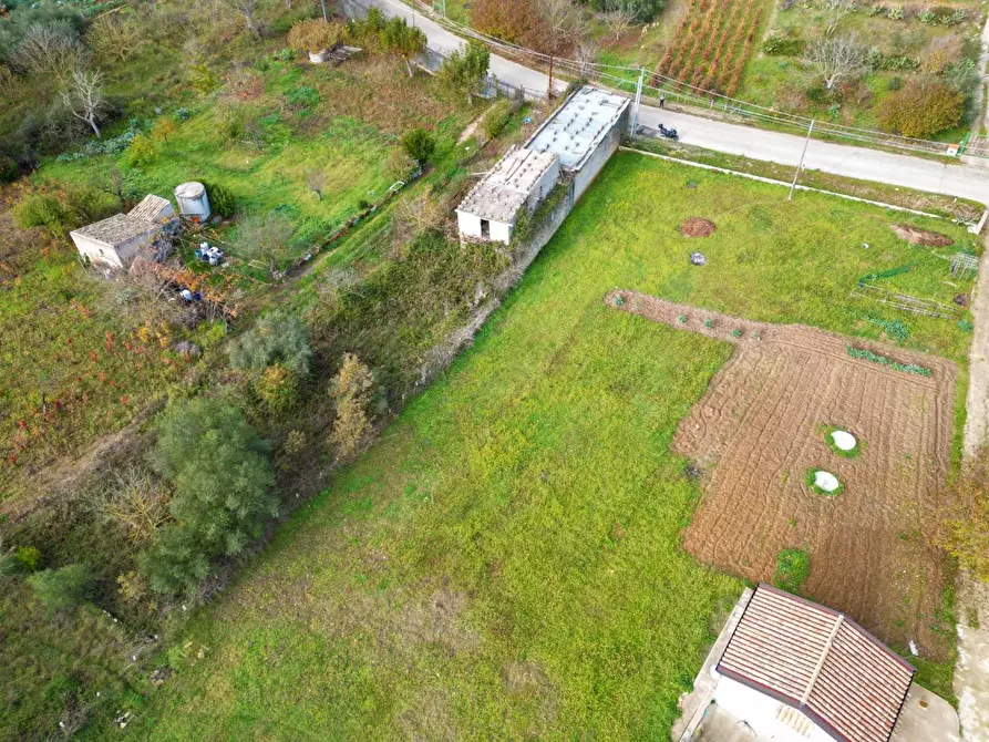 Immagine 8 di Terreno agricolo in vendita  in via rebuttone 64 a Altofonte