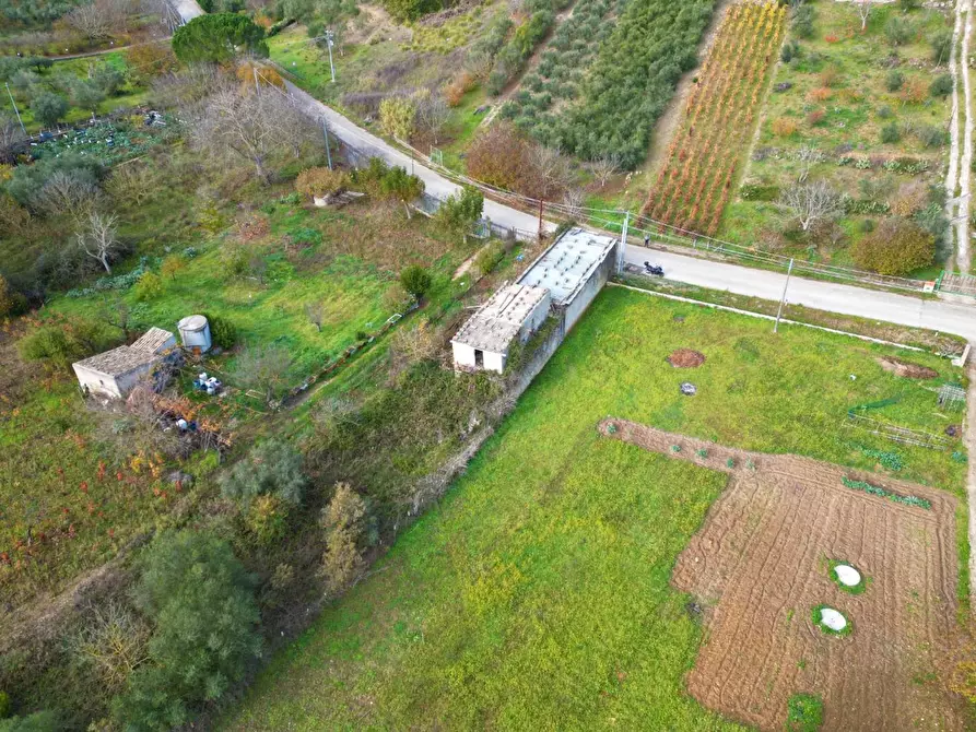 Immagine 9 di Terreno agricolo in vendita  in via rebuttone 64 a Altofonte