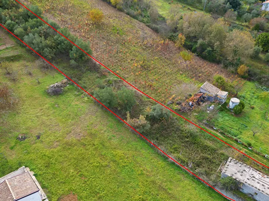 Immagine 10 di Terreno agricolo in vendita  in via rebuttone 64 a Altofonte