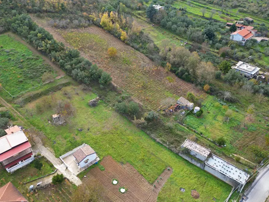 Immagine 11 di Terreno agricolo in vendita  in via rebuttone 64 a Altofonte
