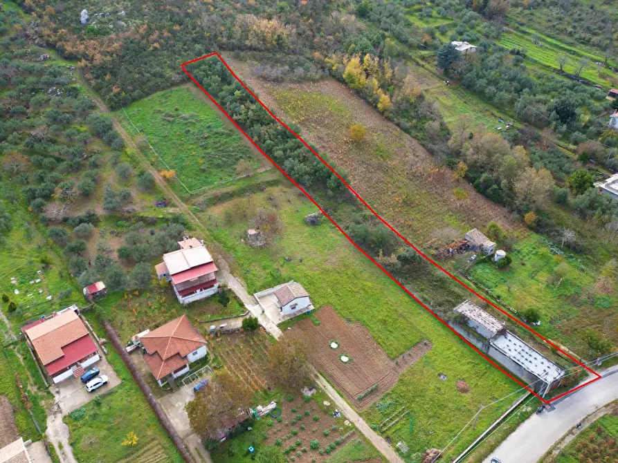 Immagine 12 di Terreno agricolo in vendita  in via rebuttone 64 a Altofonte