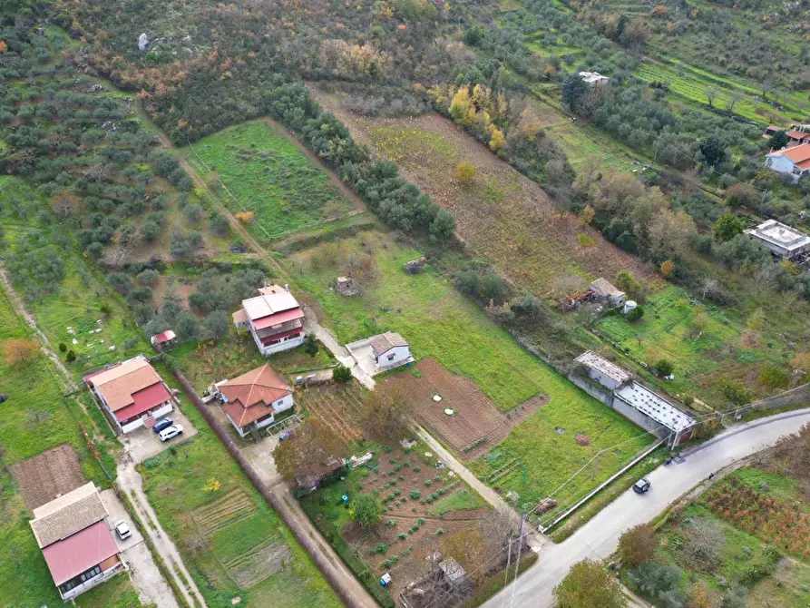 Immagine 13 di Terreno agricolo in vendita  in via rebuttone 64 a Altofonte