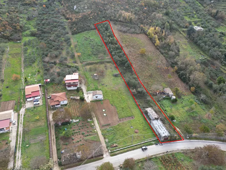 Immagine 14 di Terreno agricolo in vendita  in via rebuttone 64 a Altofonte