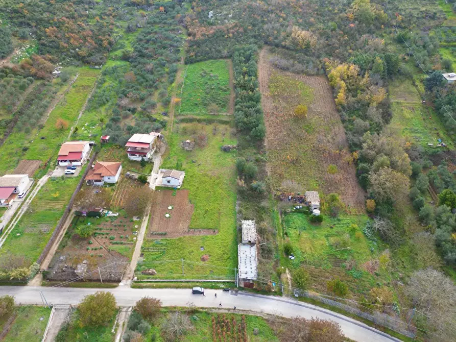 Immagine 15 di Terreno agricolo in vendita  in via rebuttone 64 a Altofonte