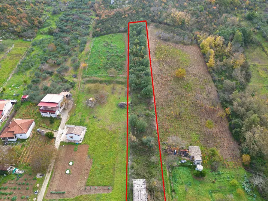Immagine 17 di Terreno agricolo in vendita  in via rebuttone 64 a Altofonte