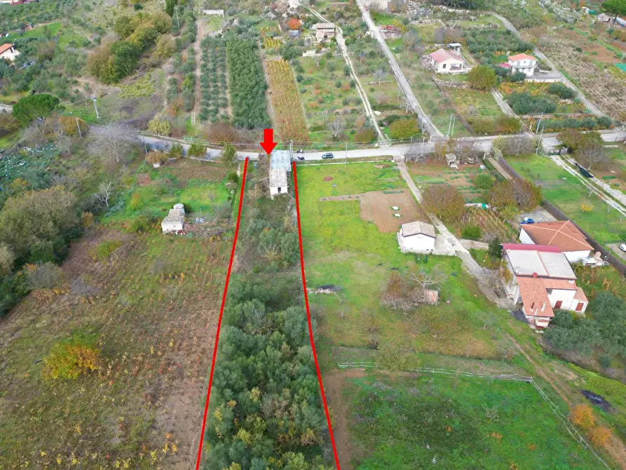 Immagine 18 di Terreno agricolo in vendita  in via rebuttone 64 a Altofonte