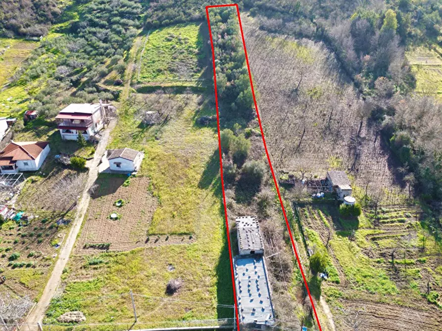 Immagine 19 di Terreno agricolo in vendita  in via rebuttone 64 a Altofonte