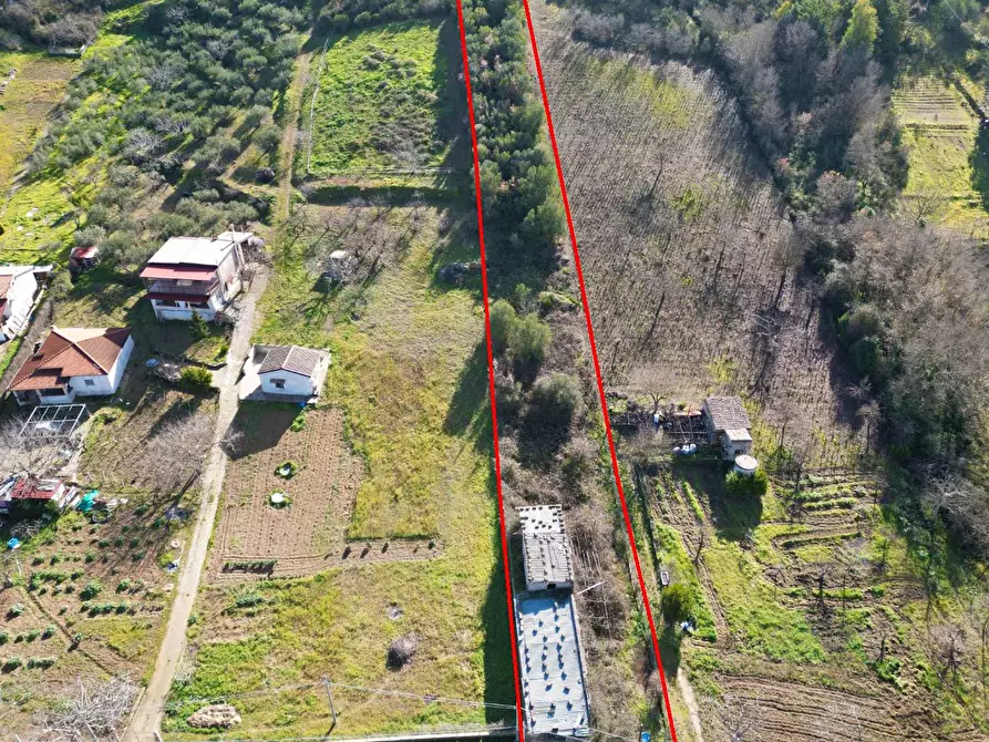 Immagine 20 di Terreno agricolo in vendita  in via rebuttone 64 a Altofonte