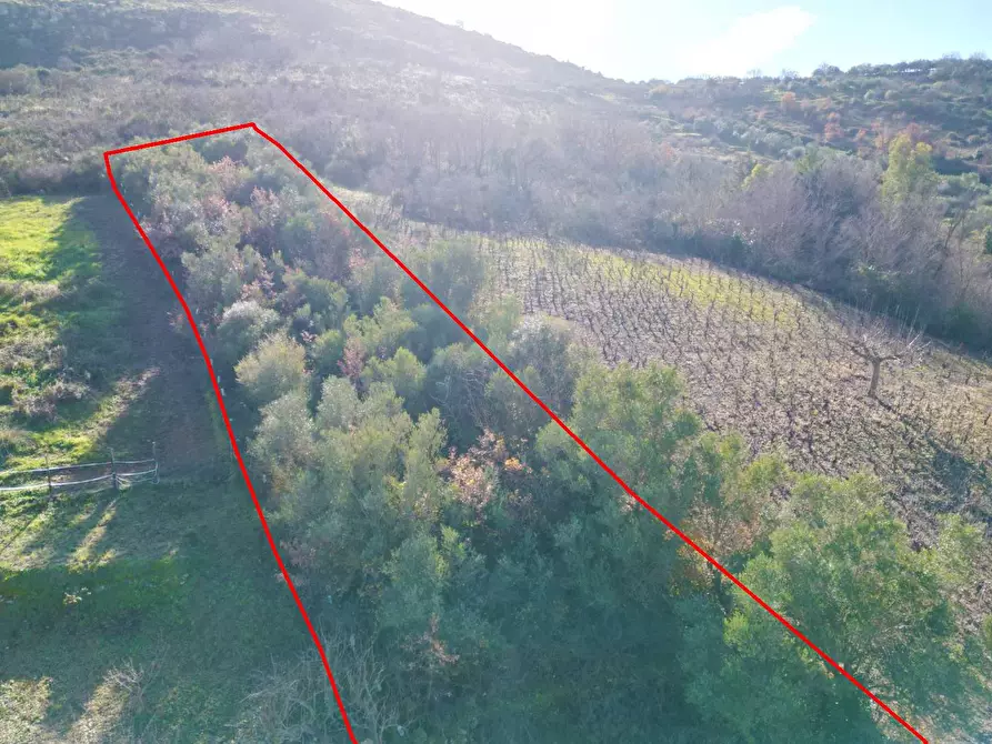 Immagine 24 di Terreno agricolo in vendita  in via rebuttone 64 a Altofonte