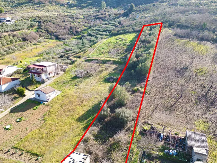 Immagine 29 di Terreno agricolo in vendita  in via rebuttone 64 a Altofonte