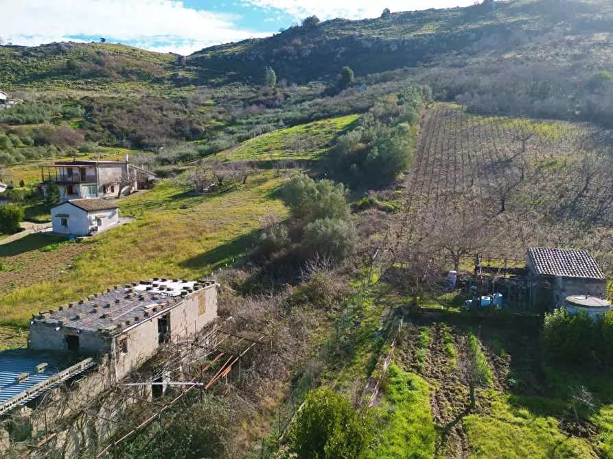 Immagine 30 di Terreno agricolo in vendita  in via rebuttone 64 a Altofonte