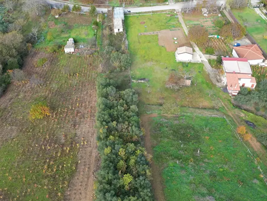 Immagine 42 di Terreno agricolo in vendita  in via rebuttone 64 a Altofonte