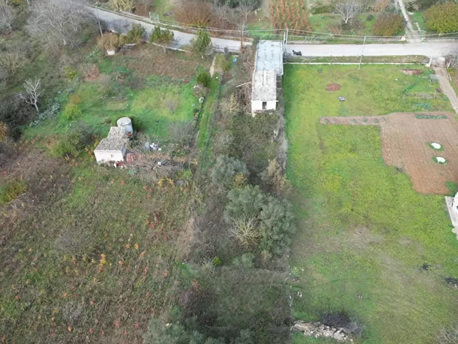 Immagine 44 di Terreno agricolo in vendita  in via rebuttone 64 a Altofonte
