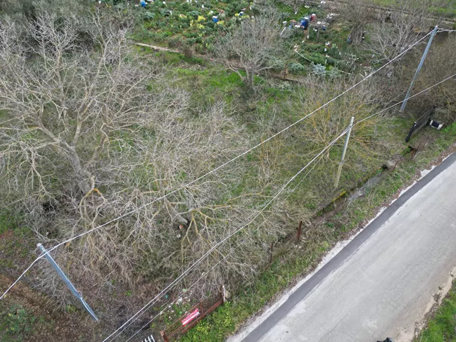 Immagine 24 di Terreno agricolo in vendita  in via rebuttone 62 a Altofonte