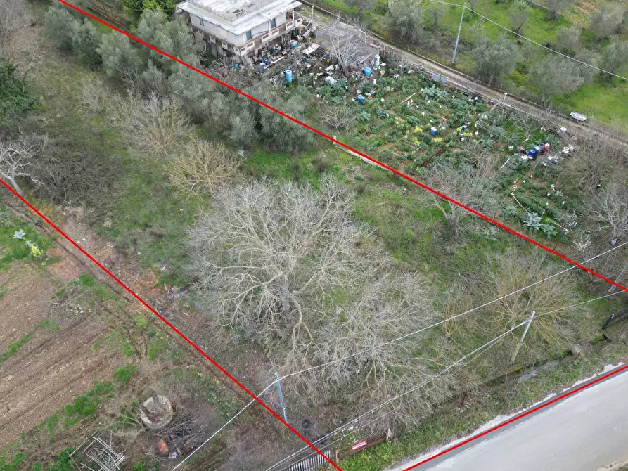 Immagine 26 di Terreno agricolo in vendita  in via rebuttone 62 a Altofonte