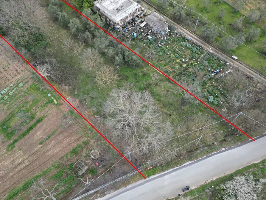 Immagine 27 di Terreno agricolo in vendita  in via rebuttone 62 a Altofonte