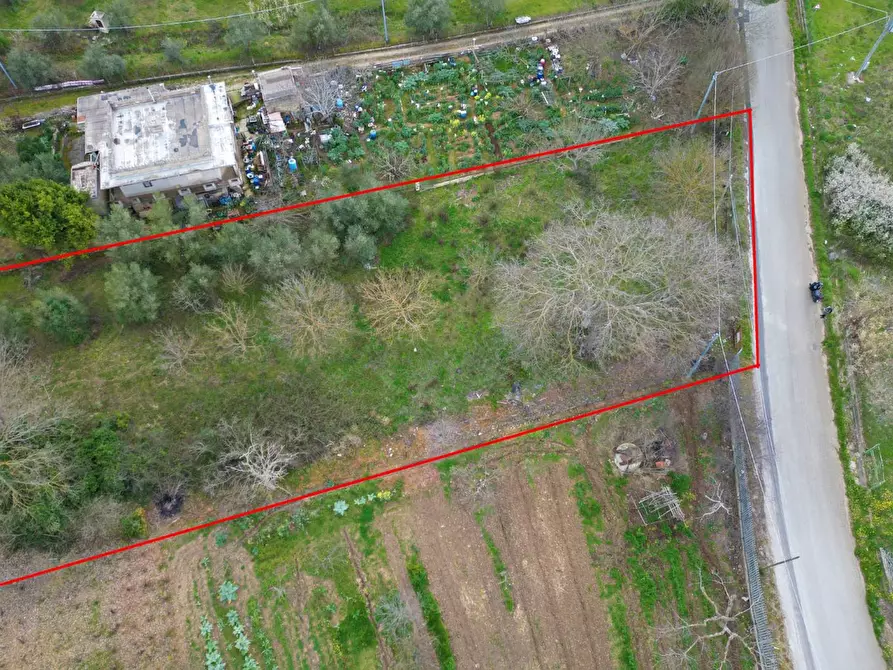 Immagine 28 di Terreno agricolo in vendita  in via rebuttone 62 a Altofonte