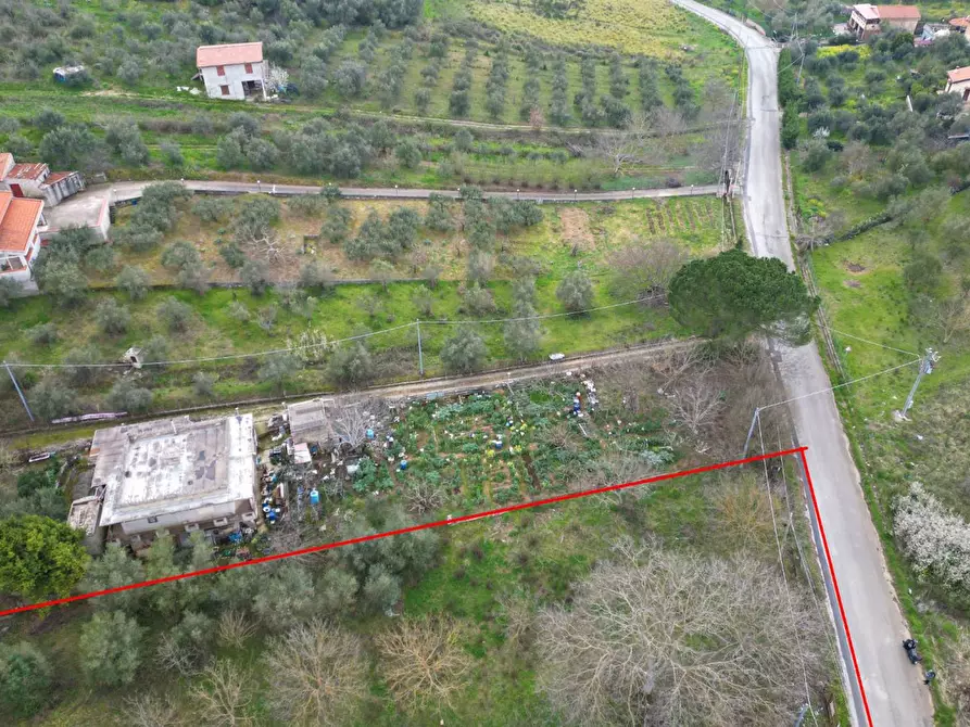 Immagine 29 di Terreno agricolo in vendita  in via rebuttone 62 a Altofonte
