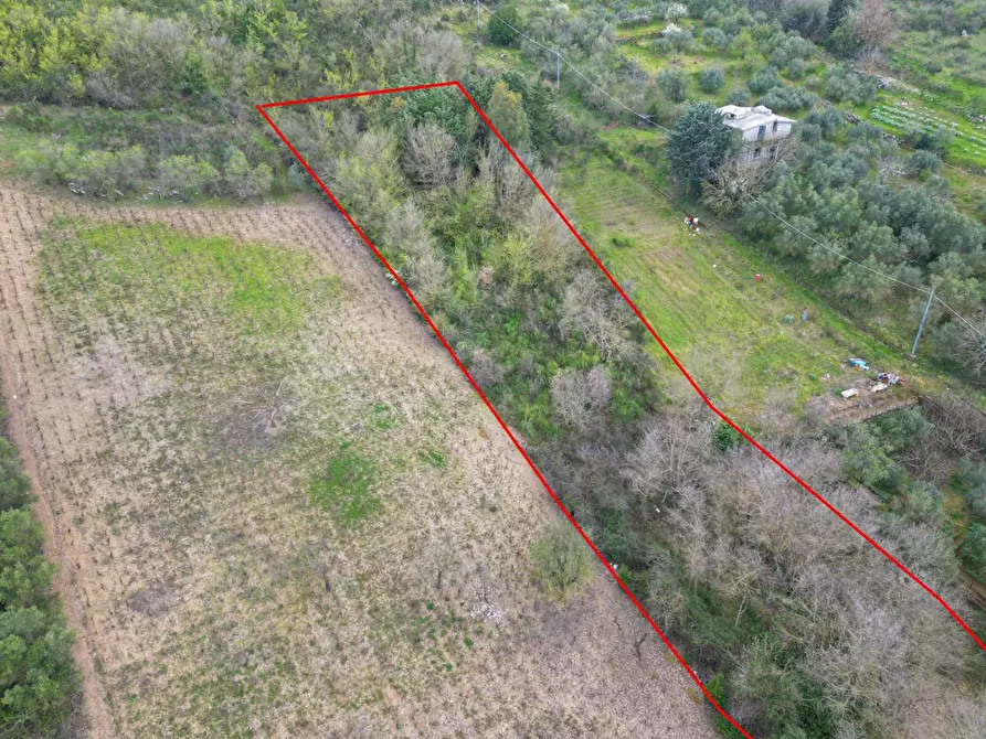 Immagine 30 di Terreno agricolo in vendita  in via rebuttone 62 a Altofonte
