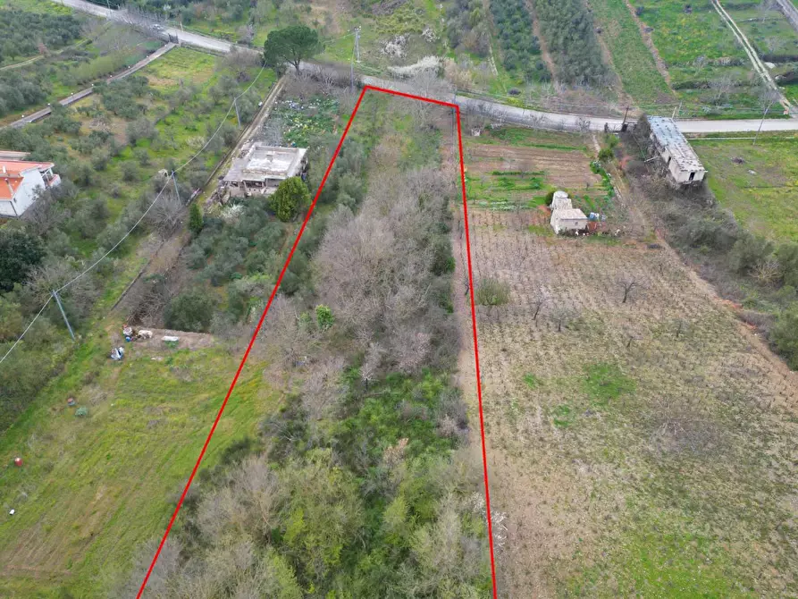 Immagine 31 di Terreno agricolo in vendita  in via rebuttone 62 a Altofonte