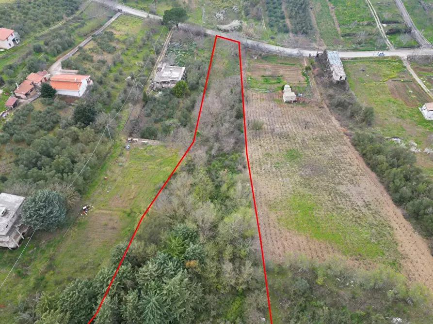 Immagine 32 di Terreno agricolo in vendita  in via rebuttone 62 a Altofonte