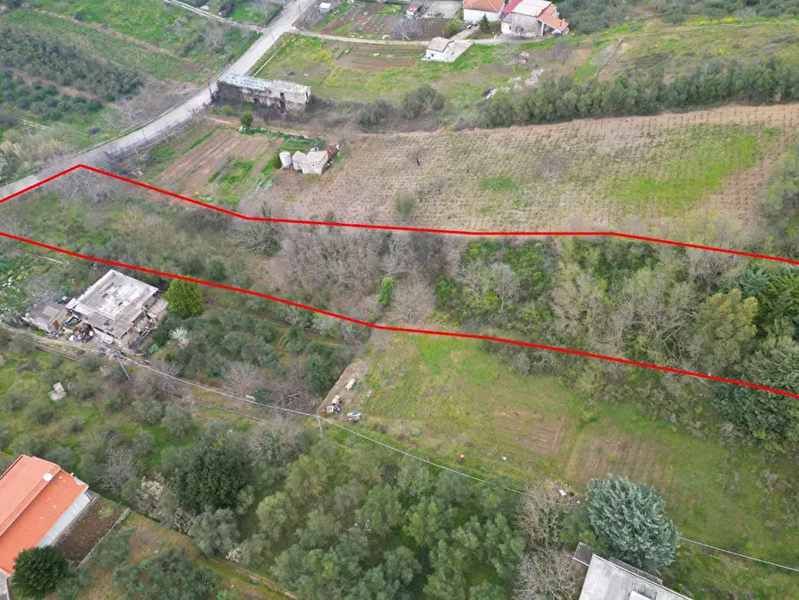 Immagine 34 di Terreno agricolo in vendita  in via rebuttone 62 a Altofonte