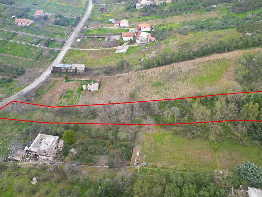 Immagine 35 di Terreno agricolo in vendita  in via rebuttone 62 a Altofonte