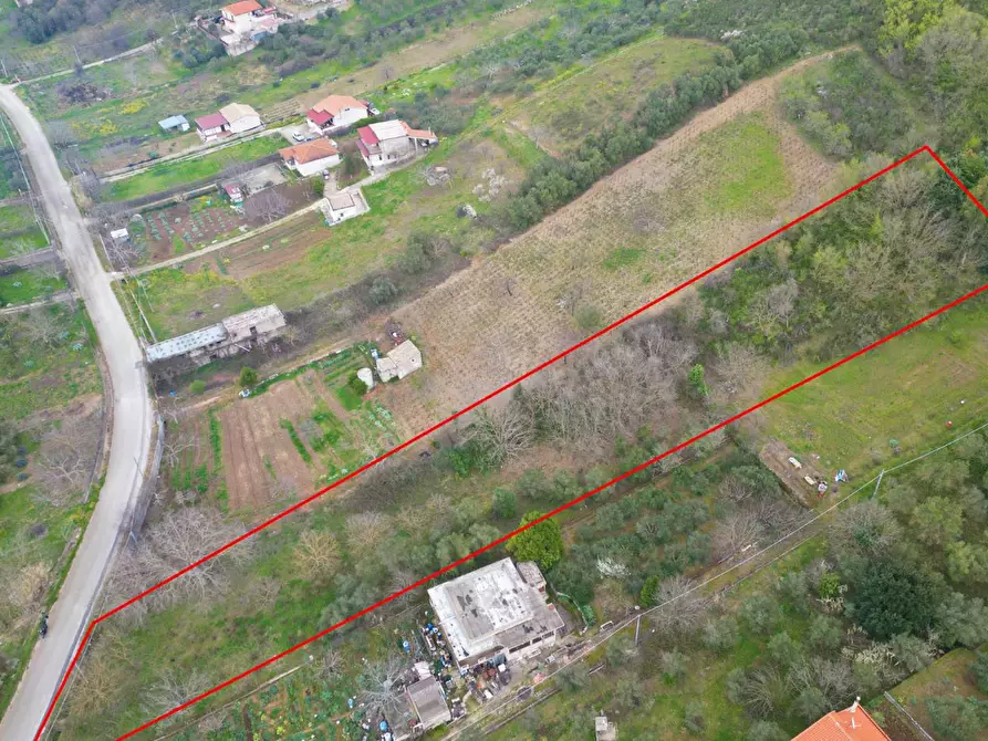 Immagine 36 di Terreno agricolo in vendita  in via rebuttone 62 a Altofonte