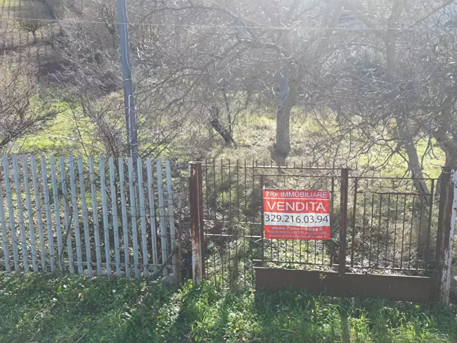 Immagine 38 di Terreno agricolo in vendita  in via rebuttone 62 a Altofonte