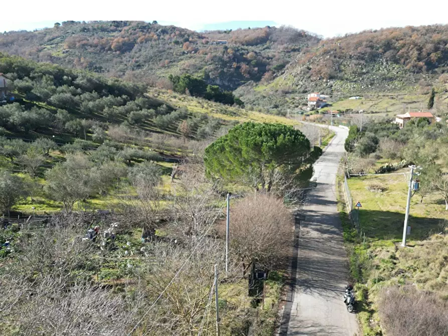 Immagine 39 di Terreno agricolo in vendita  in via rebuttone 62 a Altofonte