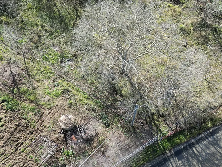 Immagine 40 di Terreno agricolo in vendita  in via rebuttone 62 a Altofonte