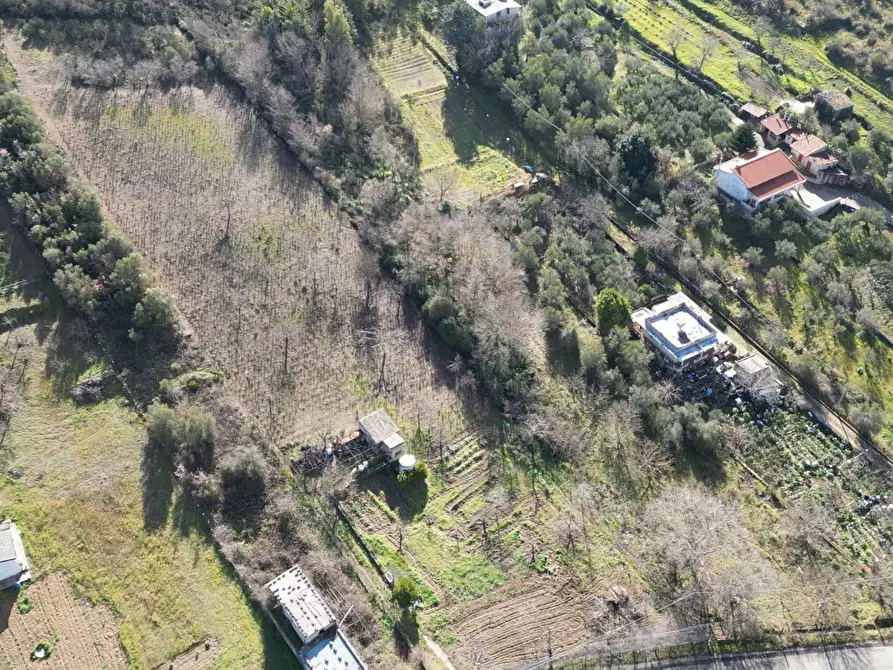 Immagine 41 di Terreno agricolo in vendita  in via rebuttone 62 a Altofonte