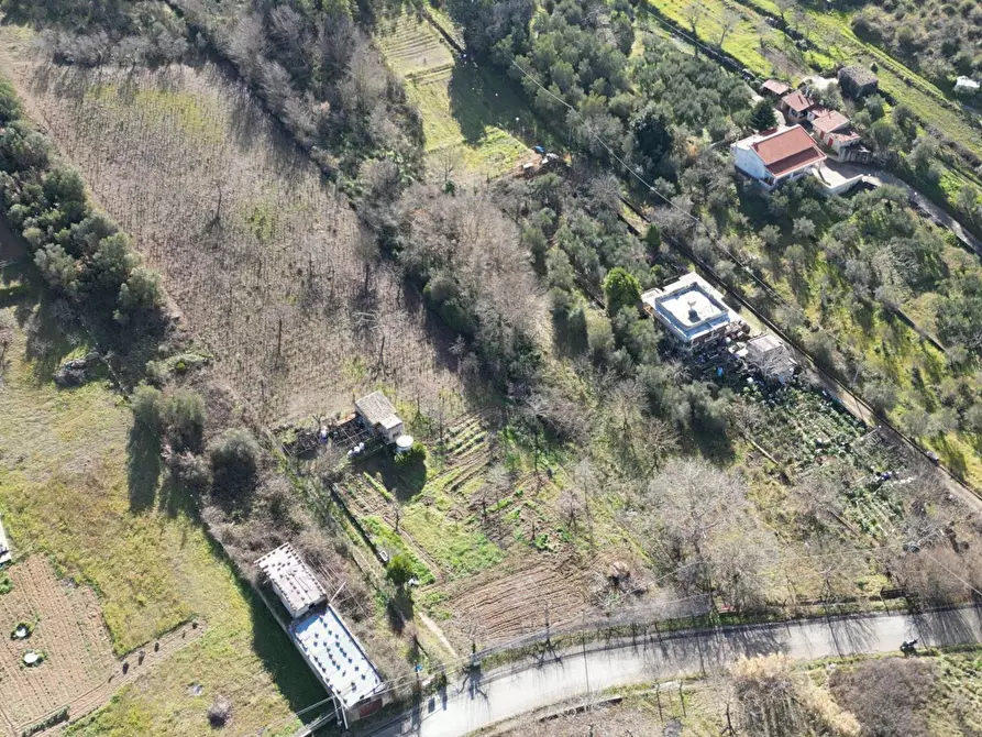 Immagine 42 di Terreno agricolo in vendita  in via rebuttone 62 a Altofonte