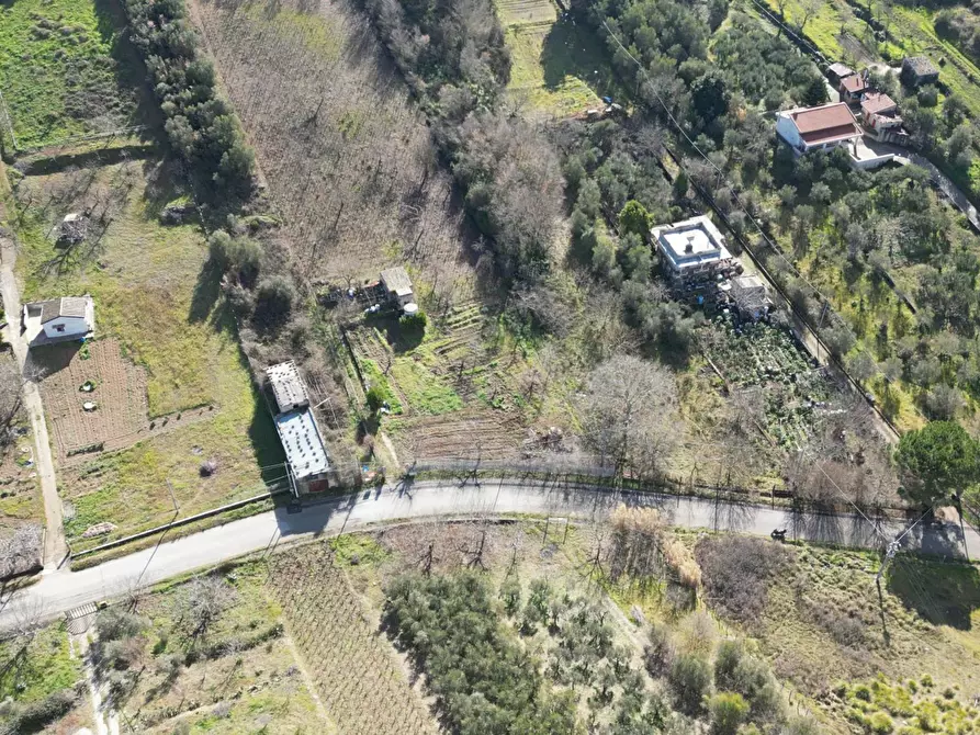 Immagine 43 di Terreno agricolo in vendita  in via rebuttone 62 a Altofonte