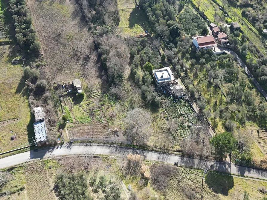 Immagine 44 di Terreno agricolo in vendita  in via rebuttone 62 a Altofonte