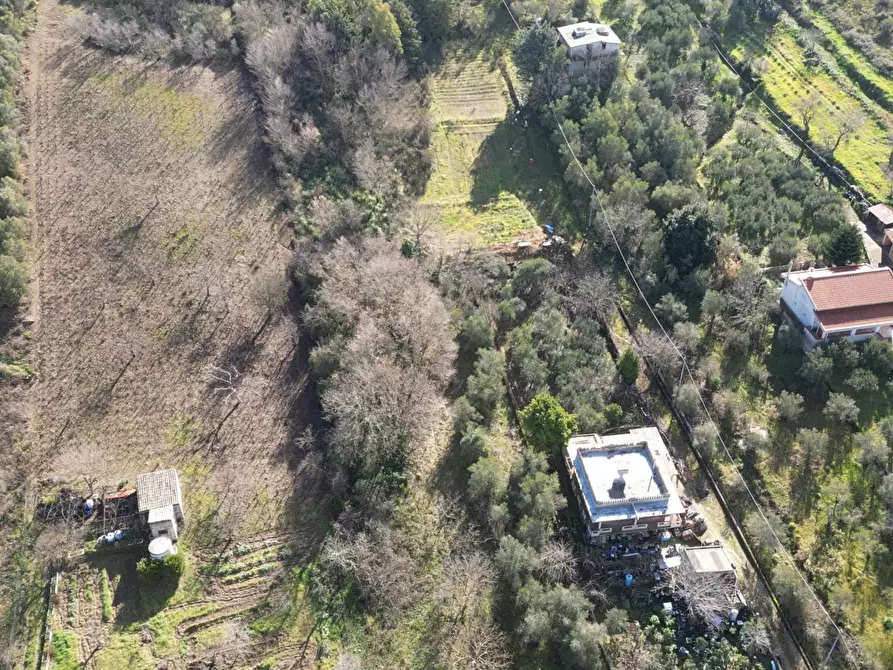Immagine 45 di Terreno agricolo in vendita  in via rebuttone 62 a Altofonte