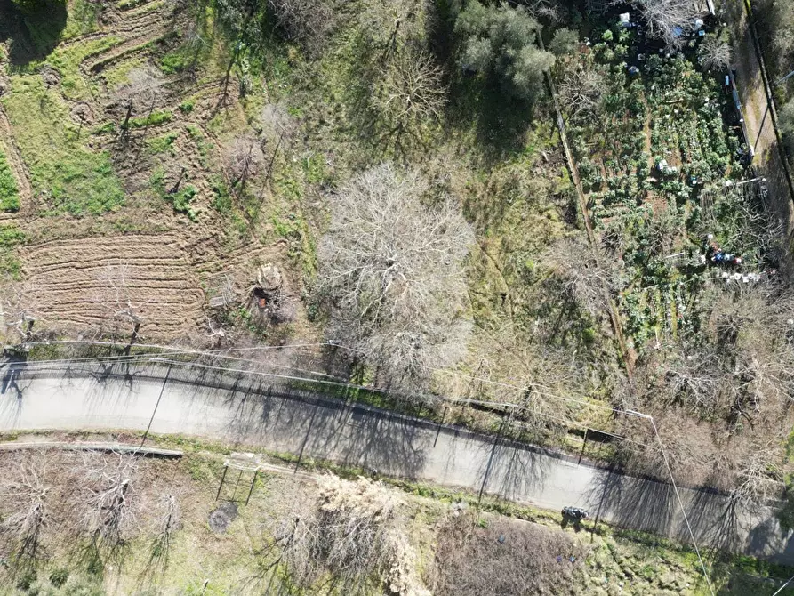 Immagine 46 di Terreno agricolo in vendita  in via rebuttone 62 a Altofonte