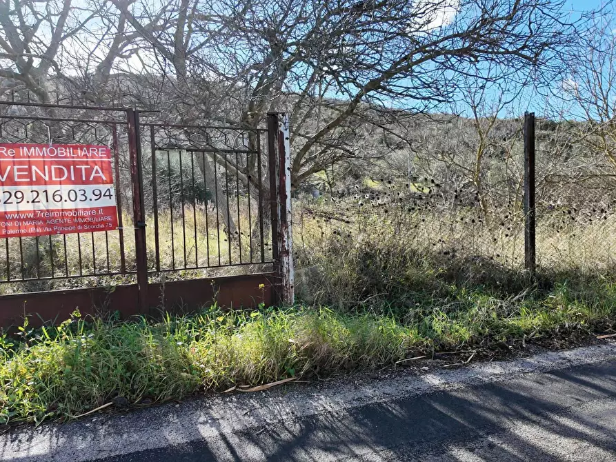 Immagine 48 di Terreno agricolo in vendita  in via rebuttone 62 a Altofonte