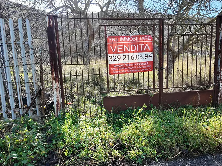 Immagine 49 di Terreno agricolo in vendita  in via rebuttone 62 a Altofonte