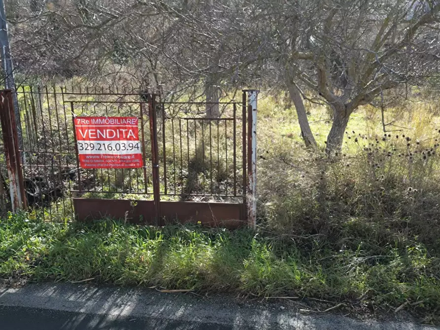 Immagine 50 di Terreno agricolo in vendita  in via rebuttone 62 a Altofonte