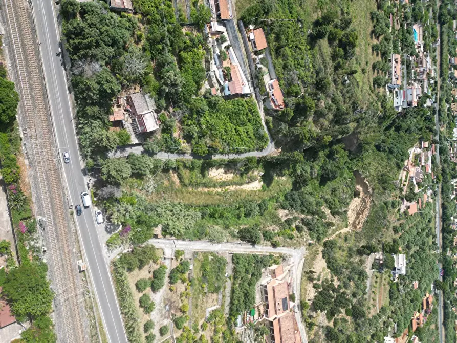 Immagine 4 di Terreno agricolo in vendita  in passi 8 a Altavilla Milicia