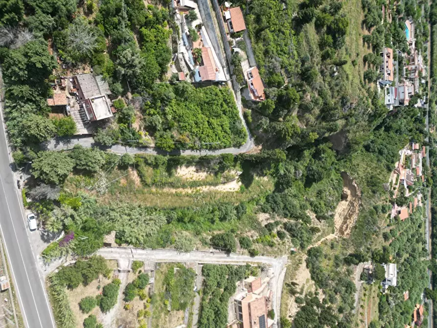 Immagine 6 di Terreno agricolo in vendita  in passi 8 a Altavilla Milicia