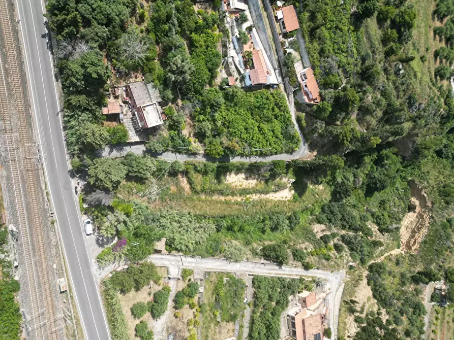 Immagine 7 di Terreno agricolo in vendita  in passi 8 a Altavilla Milicia