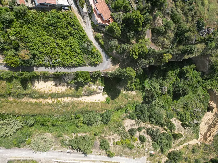 Immagine 8 di Terreno agricolo in vendita  in passi 8 a Altavilla Milicia