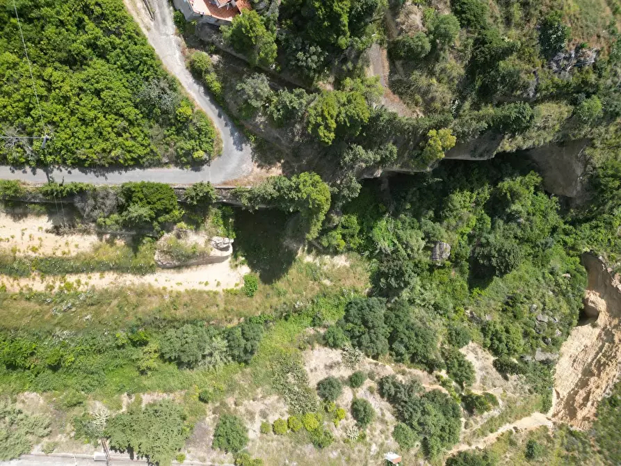 Immagine 9 di Terreno agricolo in vendita  in passi 8 a Altavilla Milicia