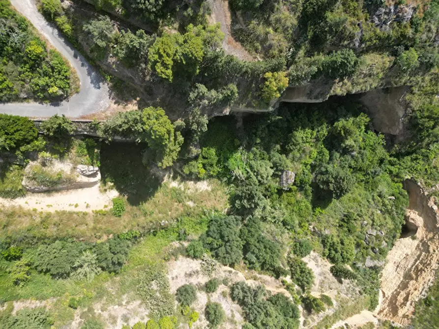 Immagine 10 di Terreno agricolo in vendita  in passi 8 a Altavilla Milicia