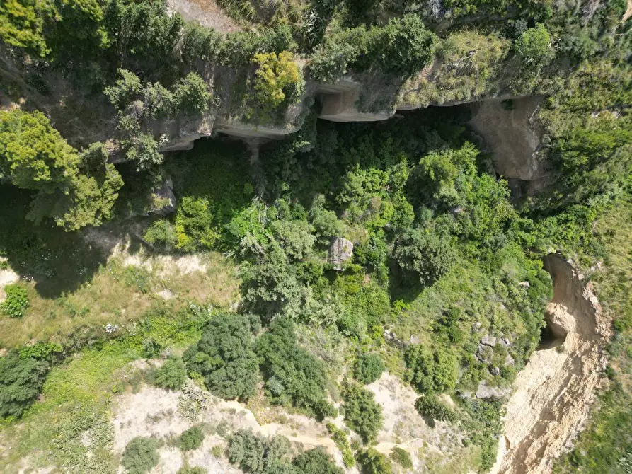 Immagine 11 di Terreno agricolo in vendita  in passi 8 a Altavilla Milicia