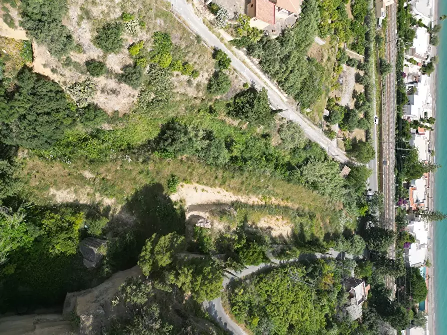 Immagine 12 di Terreno agricolo in vendita  in passi 8 a Altavilla Milicia