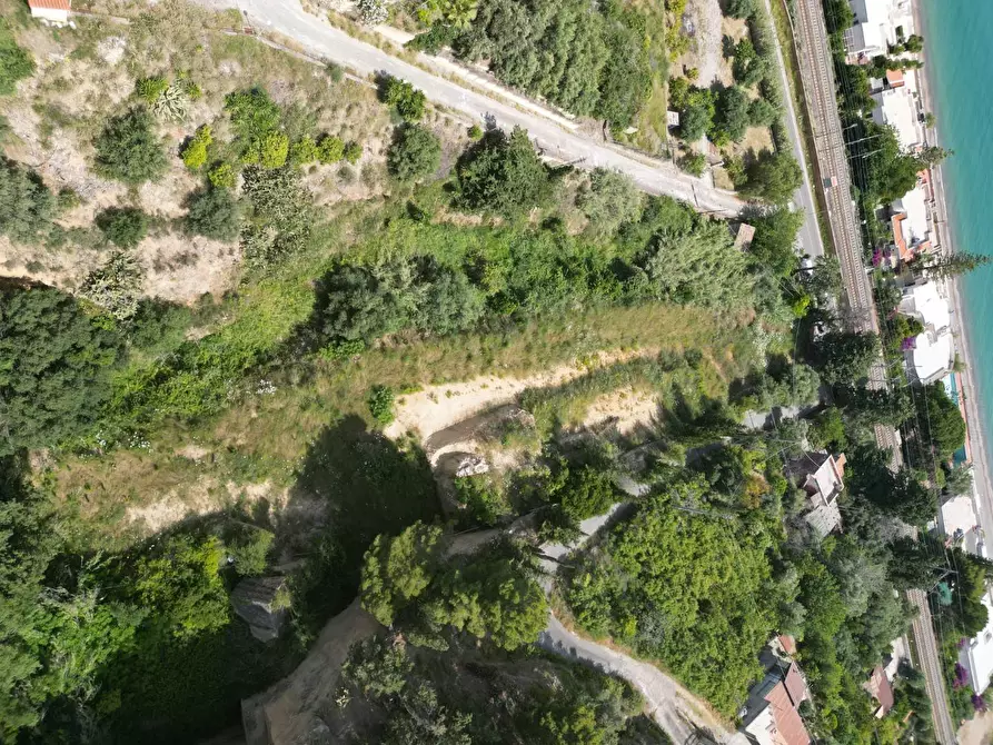 Immagine 13 di Terreno agricolo in vendita  in passi 8 a Altavilla Milicia