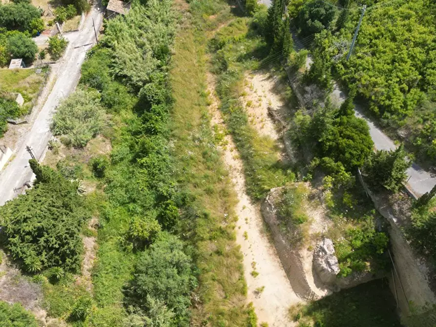 Immagine 14 di Terreno agricolo in vendita  in passi 8 a Altavilla Milicia